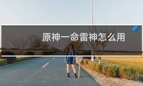 原神一命雷神怎么用