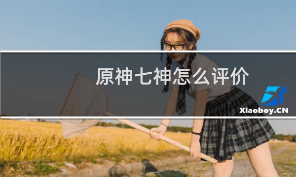 原神七神怎么评价