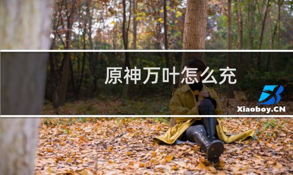 原神万叶怎么充