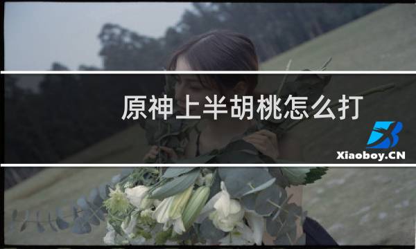 原神上半胡桃怎么打