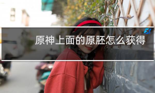 原神上面的原胚怎么获得