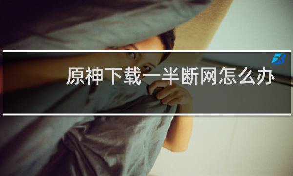 原神下载一半断网怎么办