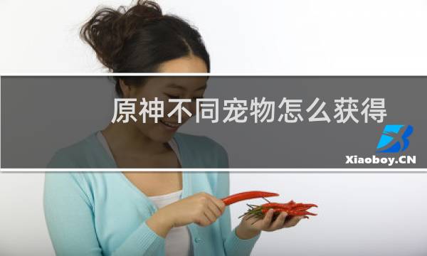 原神不同宠物怎么获得