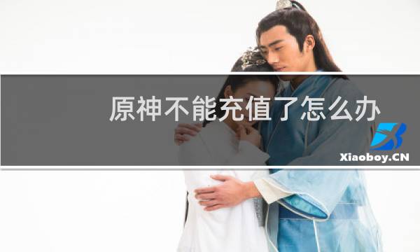 原神不能充值了怎么办