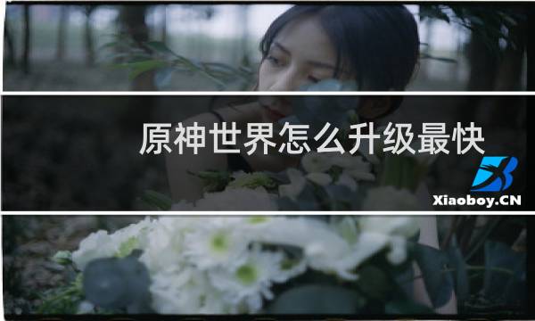 原神世界怎么升级最快