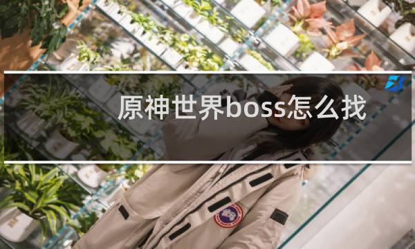 原神世界boss怎么找