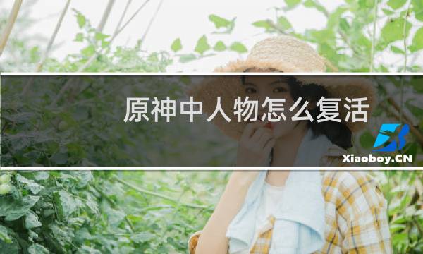 原神中人物怎么复活