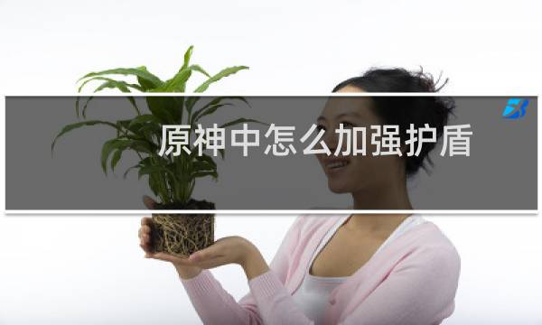 原神中怎么加强护盾