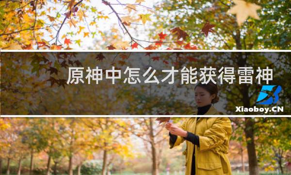 原神中怎么才能获得雷神