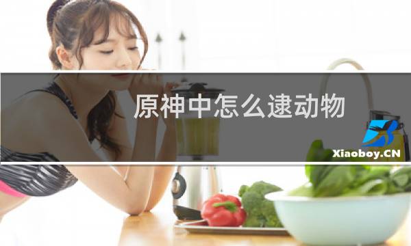 原神中怎么逮动物