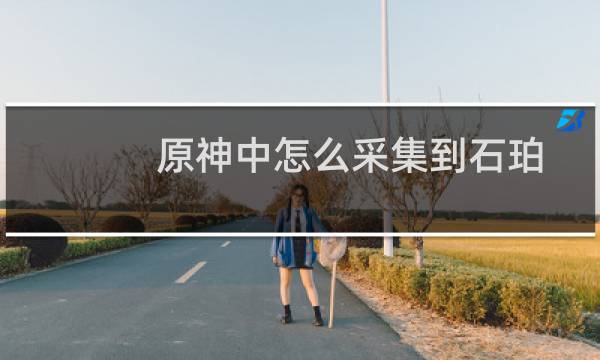 原神中怎么采集到石珀