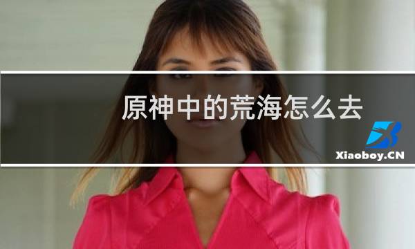 原神中的荒海怎么去