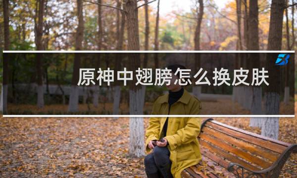 原神中翅膀怎么换皮肤