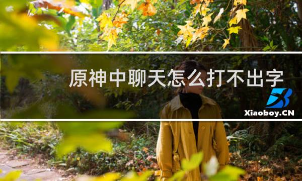 原神中聊天怎么打不出字