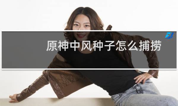 原神中风种子怎么捕捞