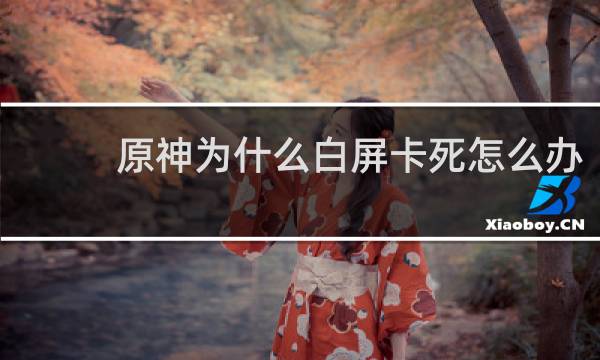 原神为什么白屏卡死怎么办