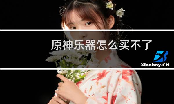 原神乐器怎么买不了