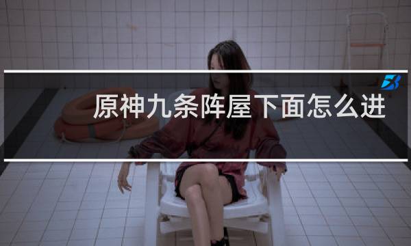 原神九条阵屋下面怎么进