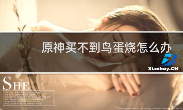 原神买不到鸟蛋烧怎么办