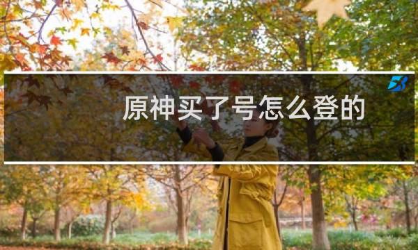 原神买了号怎么登的