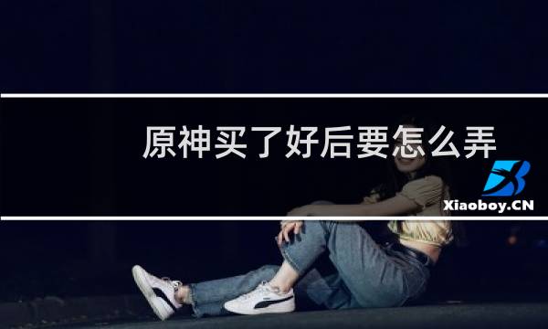 原神买了好后要怎么弄