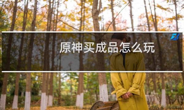 原神买成品怎么玩