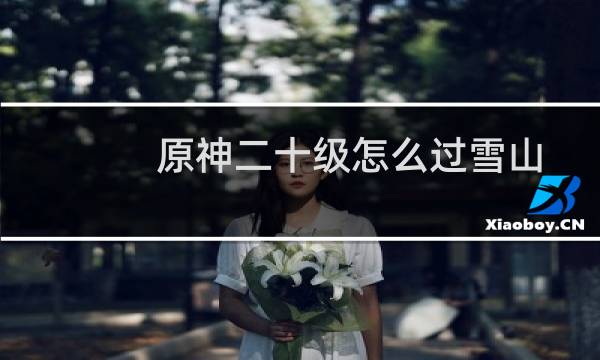 原神二十级怎么过雪山