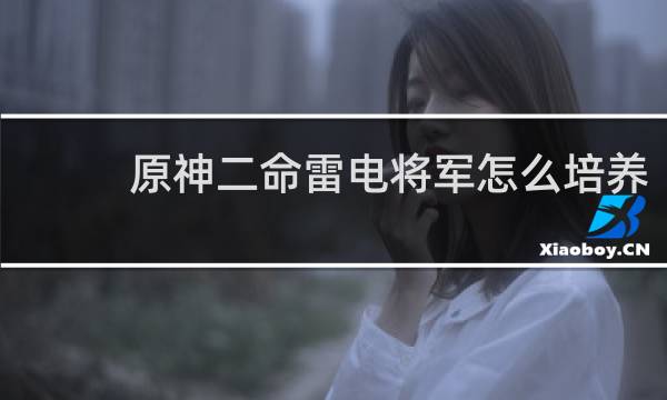 原神二命雷电将军怎么培养
