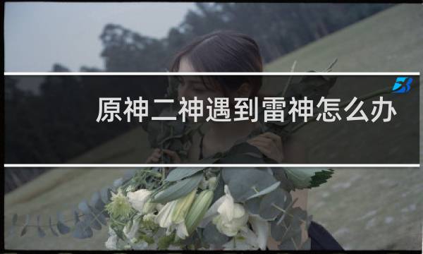 原神二神遇到雷神怎么办