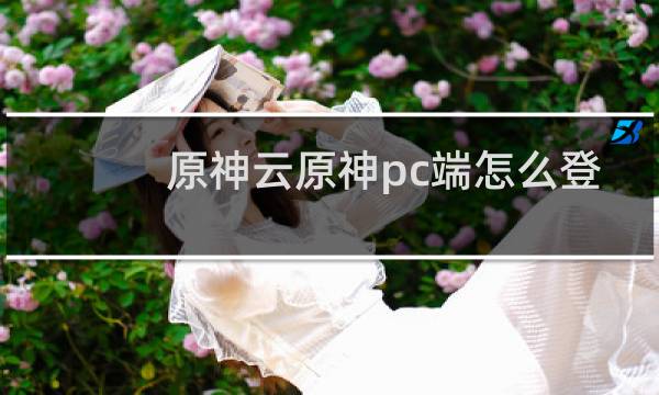 原神云原神pc端怎么登