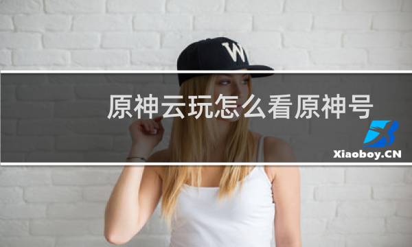 原神云玩怎么看原神号
