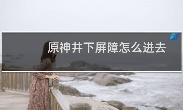 原神井下屏障怎么进去