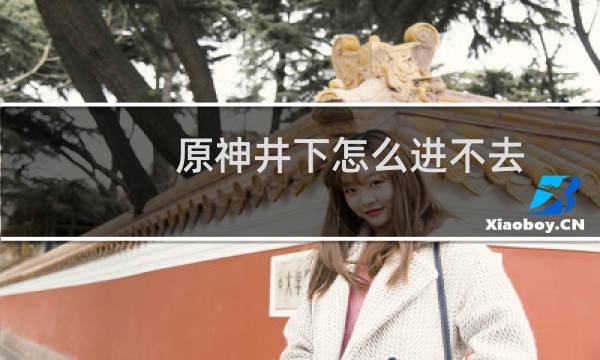 原神井下怎么进不去