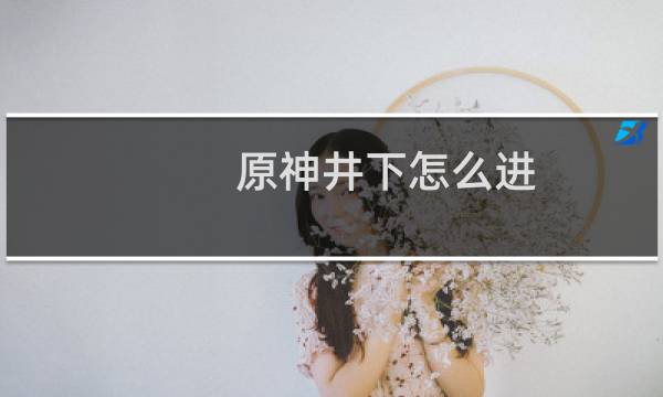 原神井下怎么进