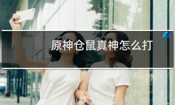 原神仓鼠真神怎么打