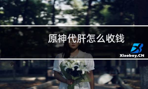 原神代肝怎么收钱