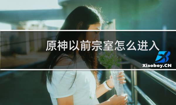 原神以前宗室怎么进入