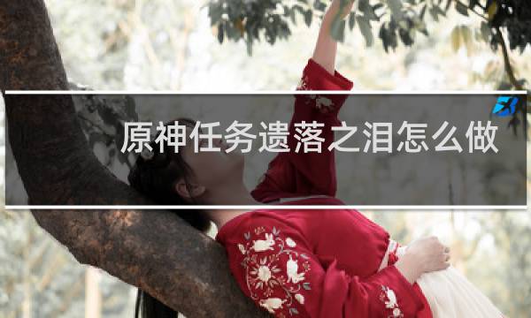 原神任务遗落之泪怎么做