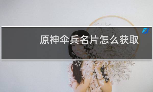 原神伞兵名片怎么获取
