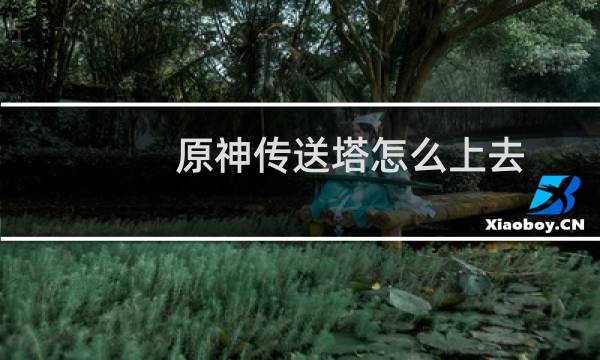 原神传送塔怎么上去
