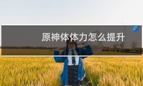 原神体体力怎么提升