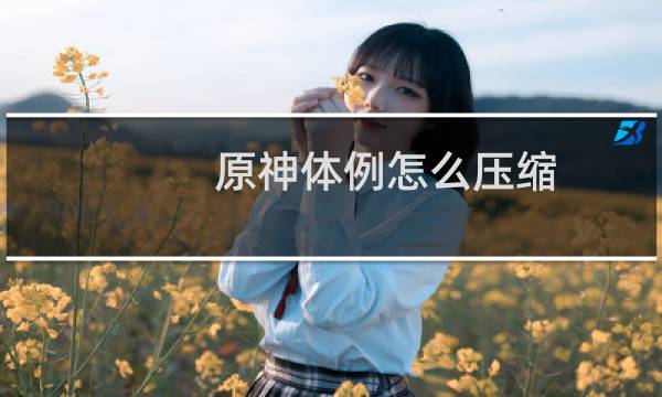 原神体例怎么压缩
