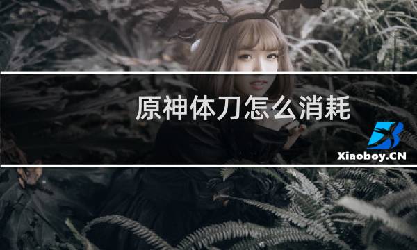 原神体刀怎么消耗