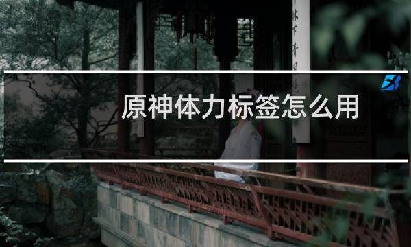 原神体力标签怎么用