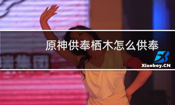 原神供奉栖木怎么供奉