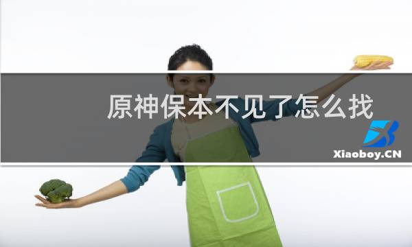 原神保本不见了怎么找