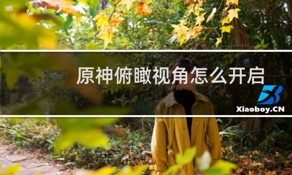 原神俯瞰视角怎么开启