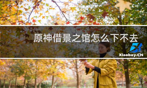 原神借景之馆怎么下不去