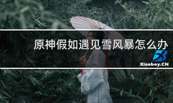 原神假如遇见雪风暴怎么办