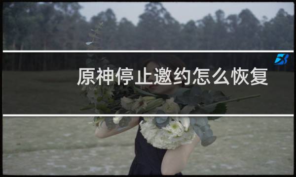 原神停止邀约怎么恢复